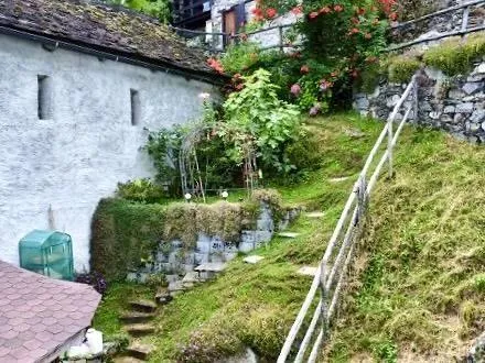 Image 16