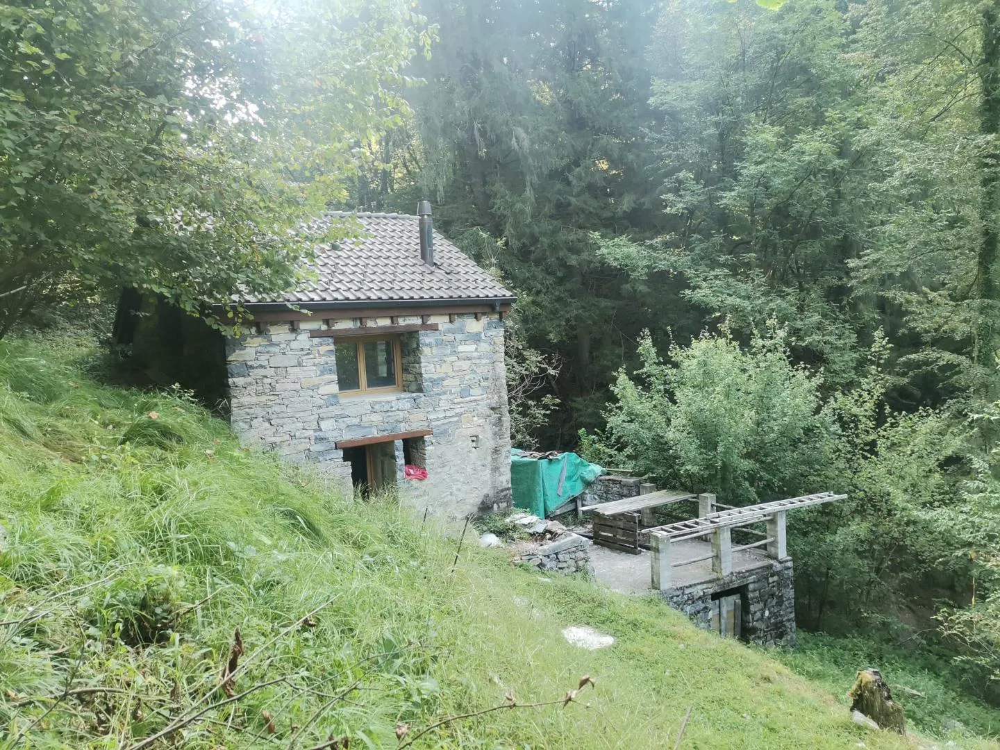 Image 12