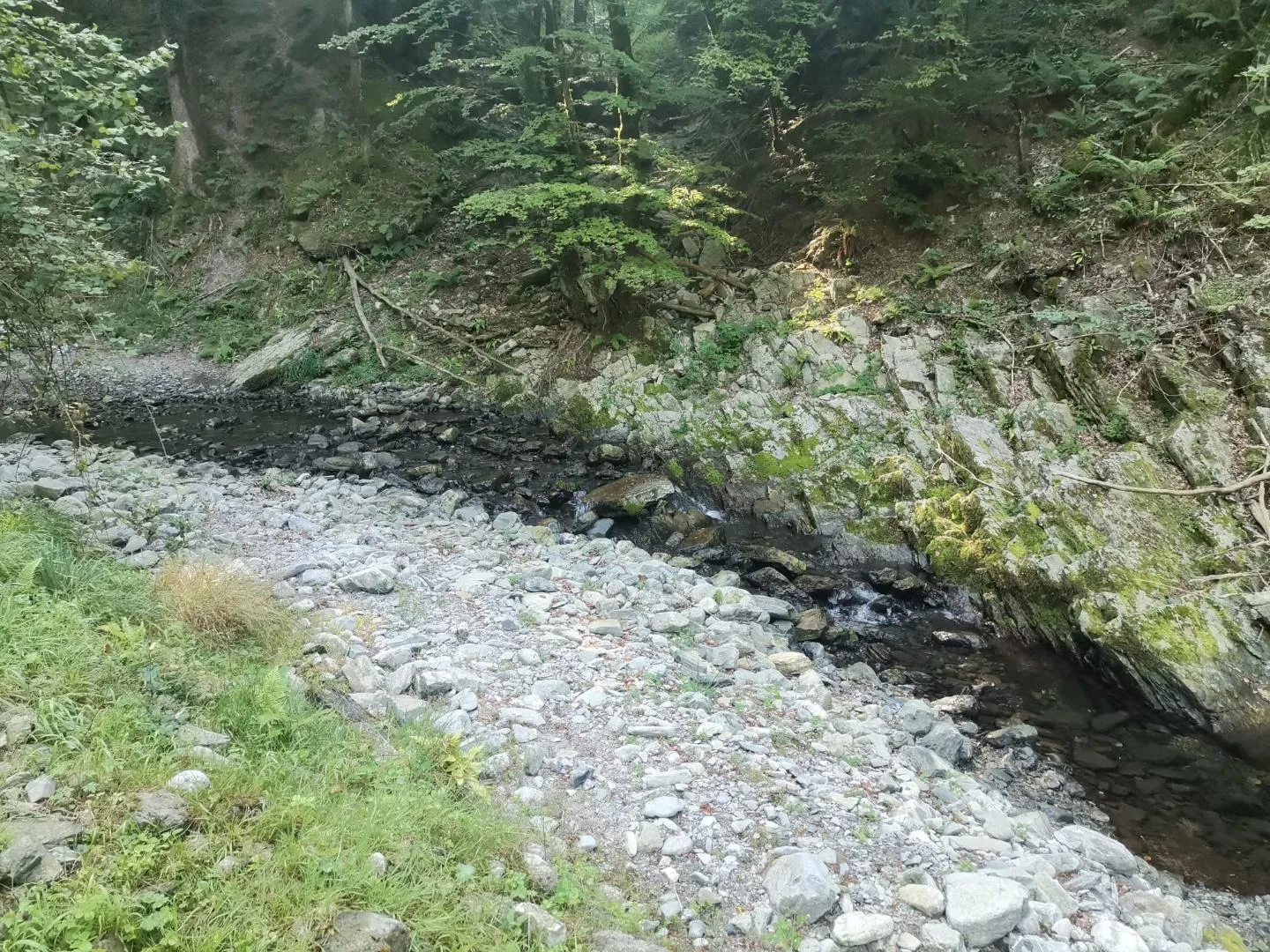 Image 13