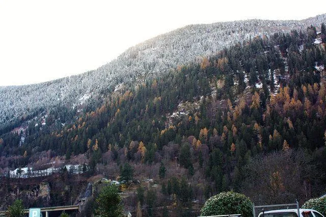 Immagine 23