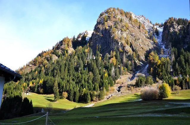 Image 14