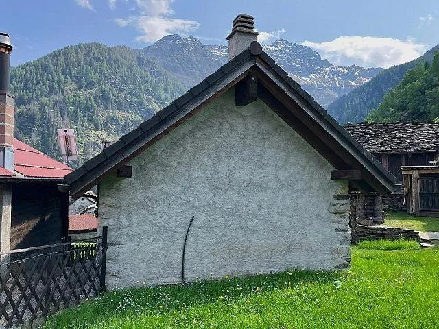 Image 15