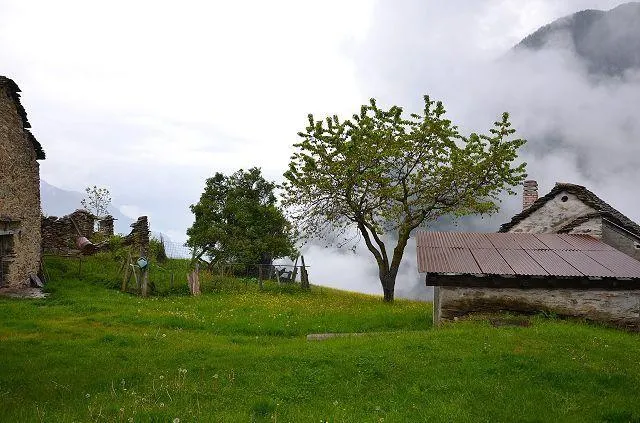 Image 17
