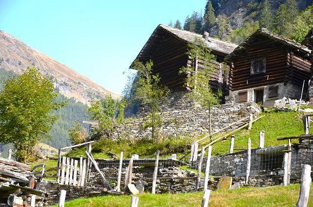 Immagine 23