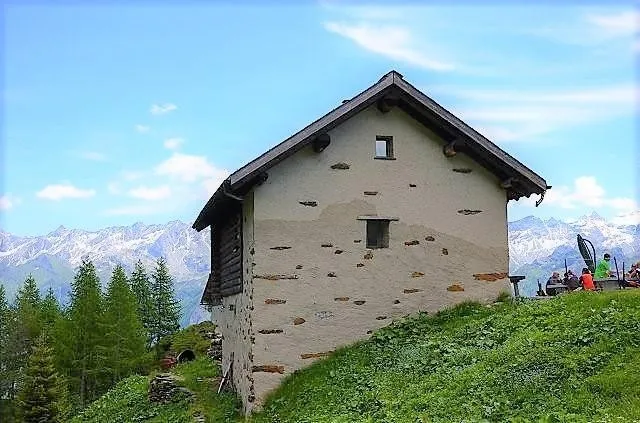Immagine 2