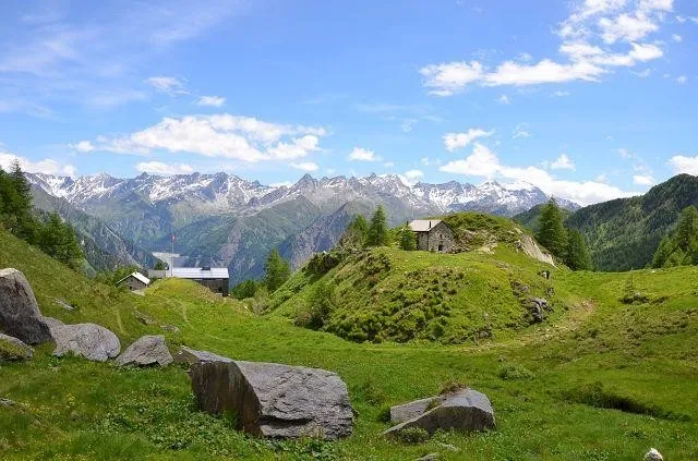 Immagine 20