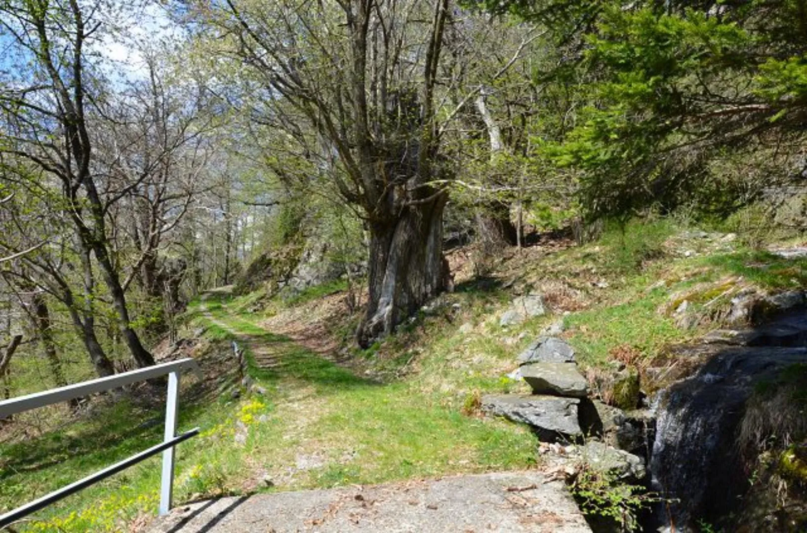 Image 35