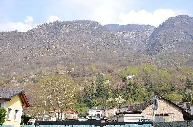Image 36