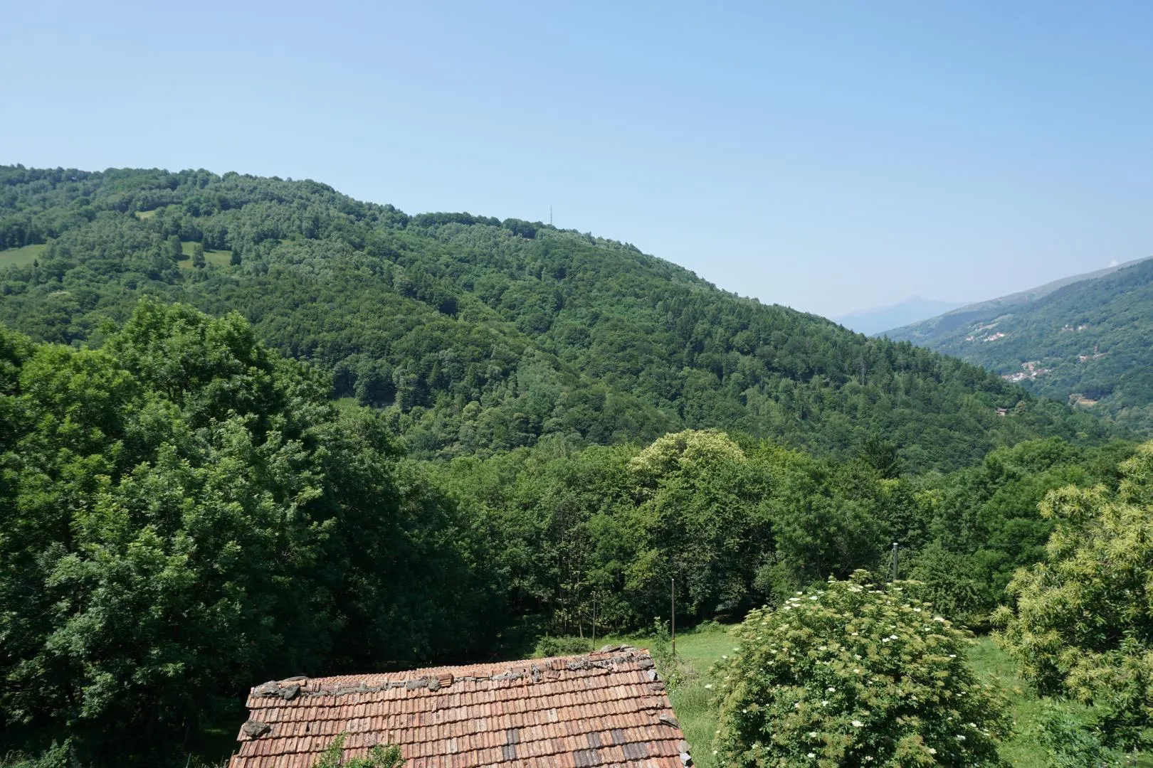 Image 9