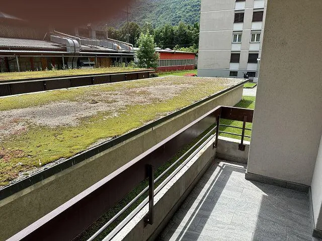 Image 12
