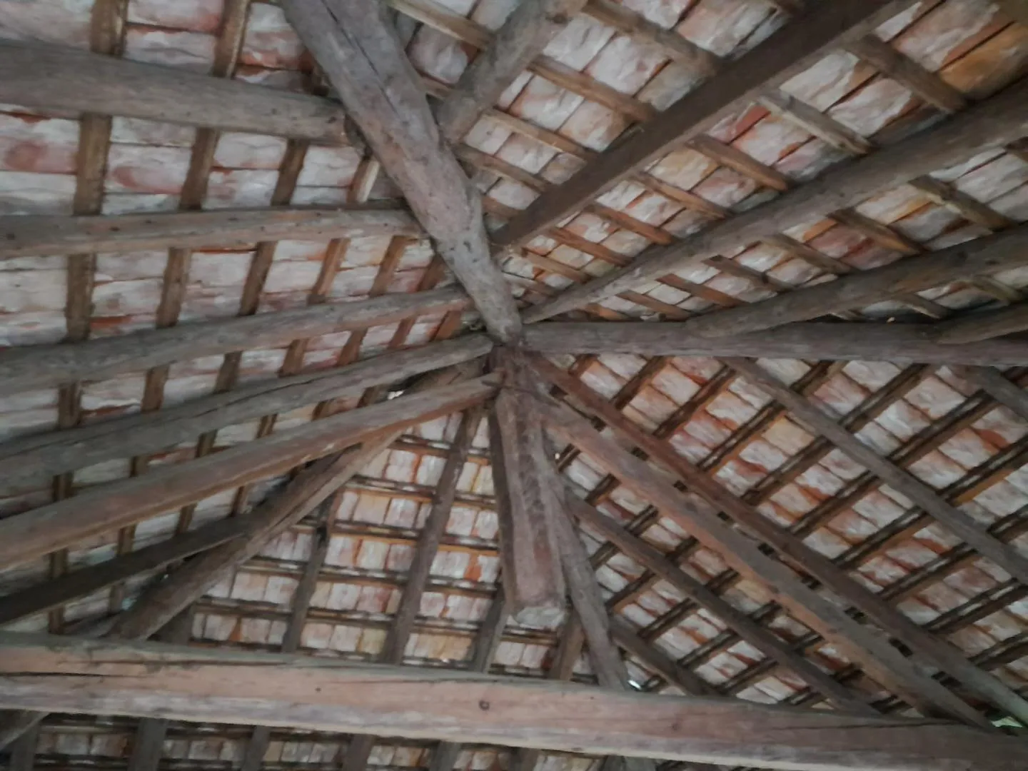 Image 8