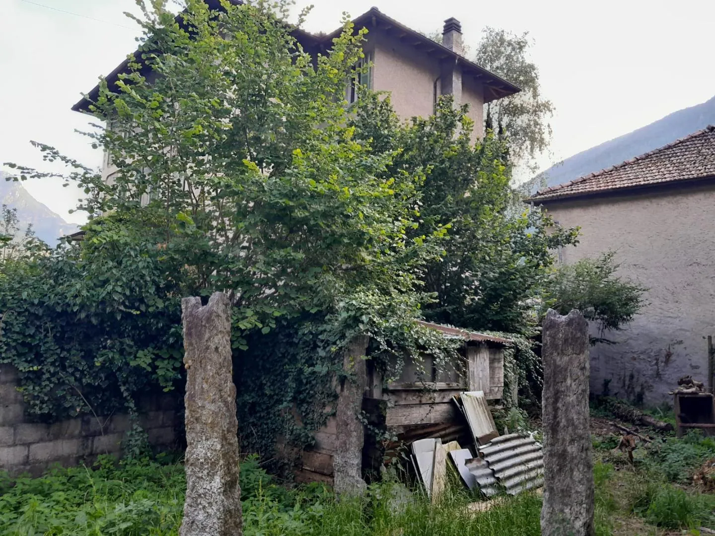 Image 11