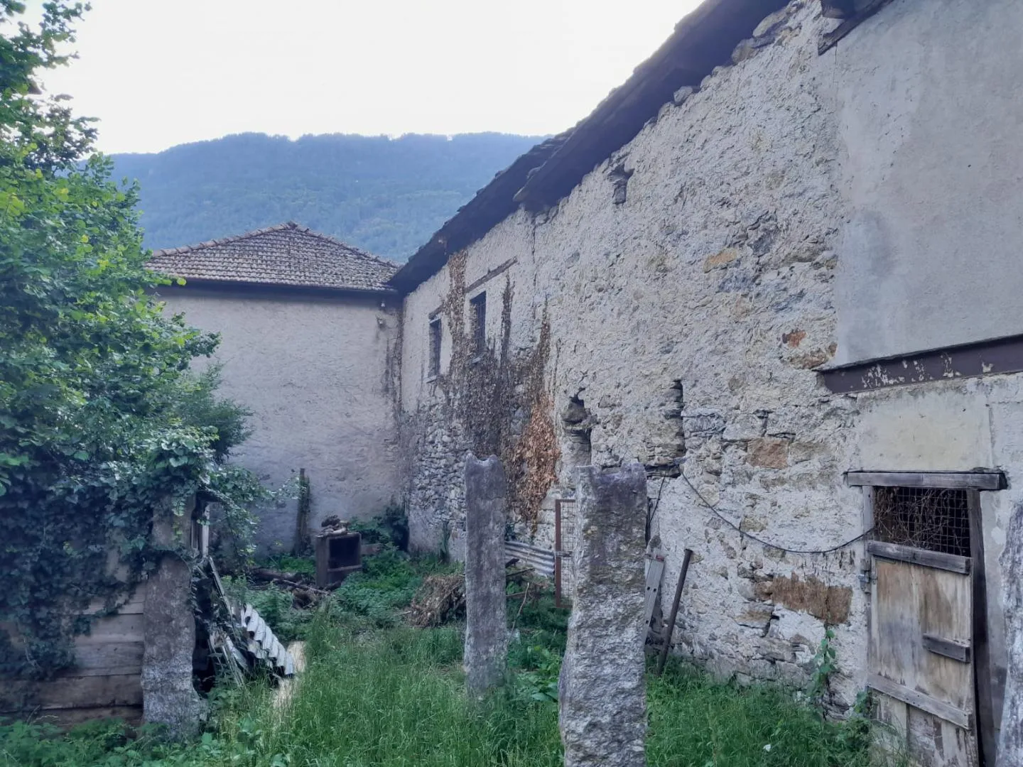 Image 10