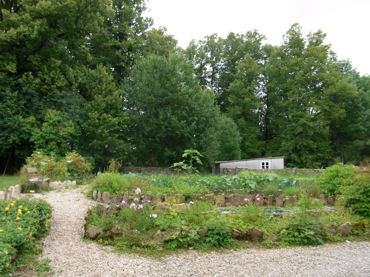 Image 15