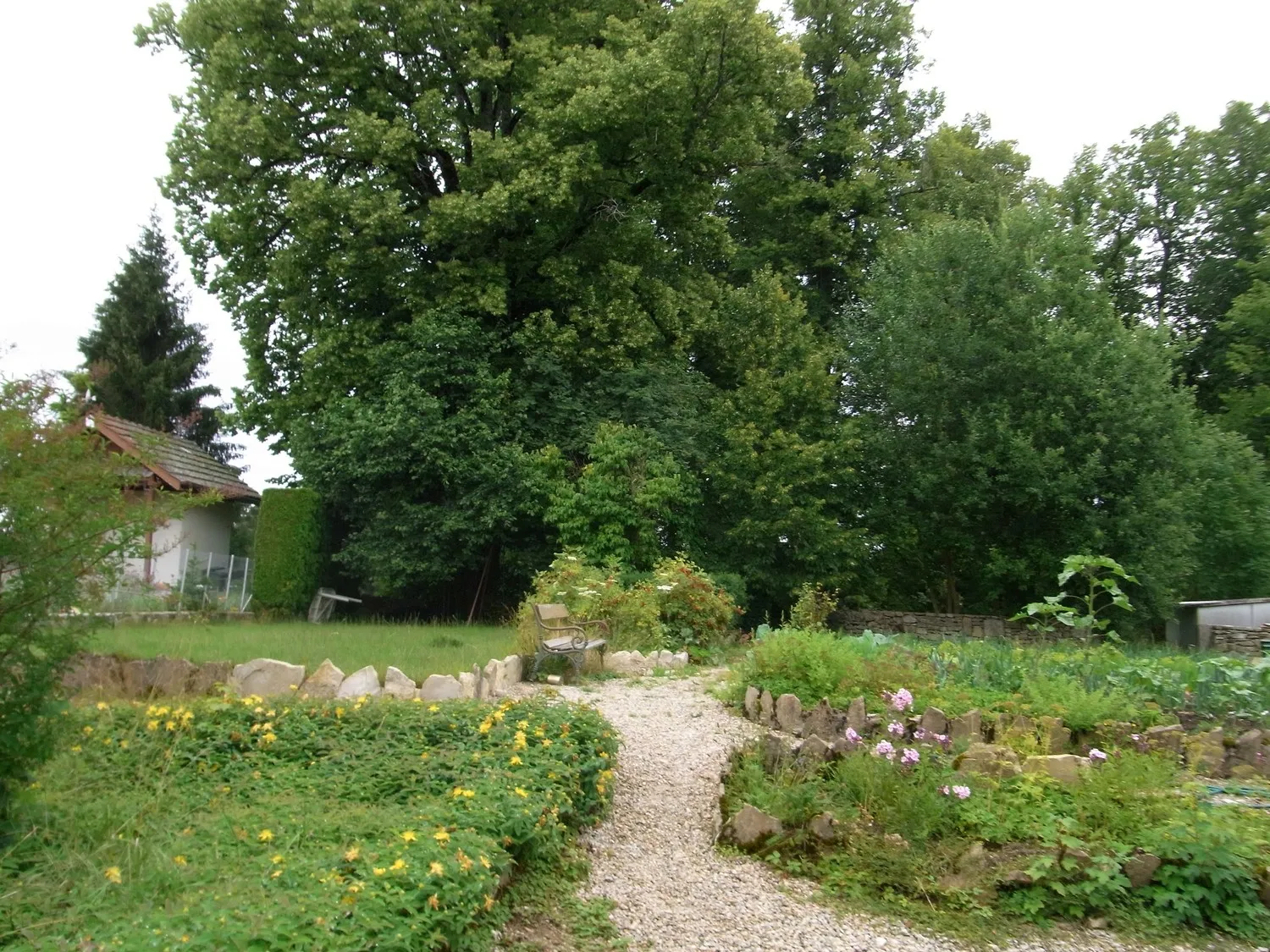 Image 13