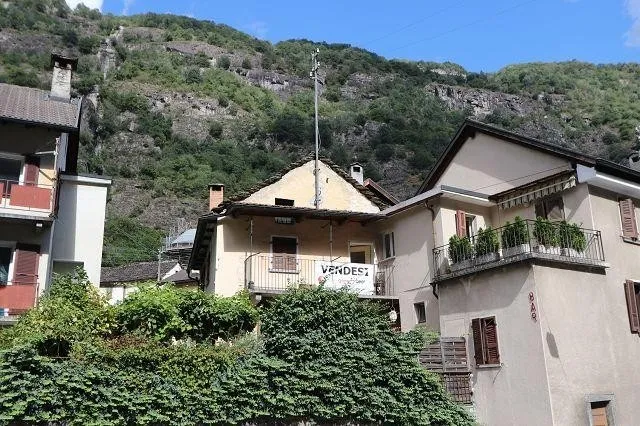 Immagine 2