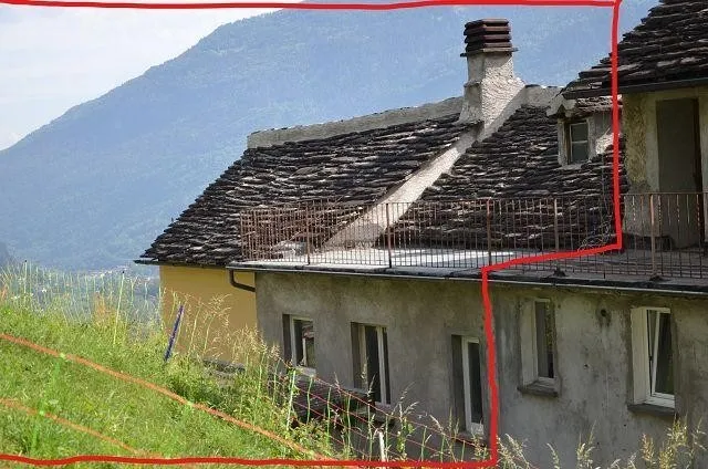 Immagine 4