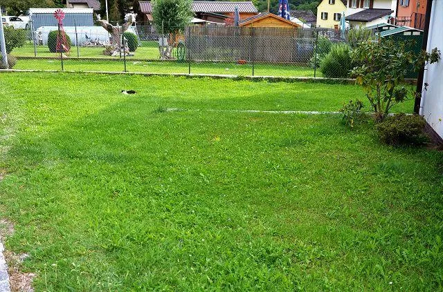 Image 22