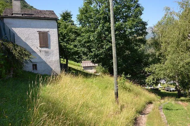 Image 17