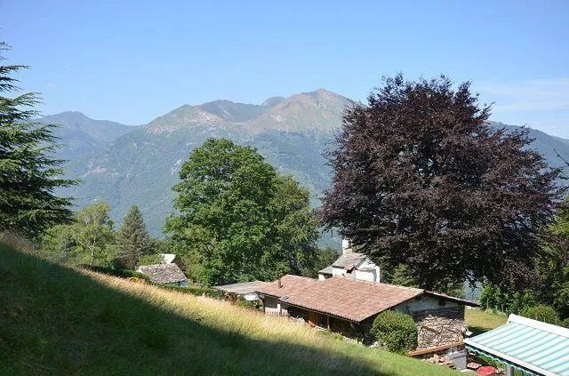 Image 31