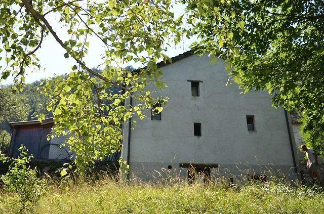 Image 15