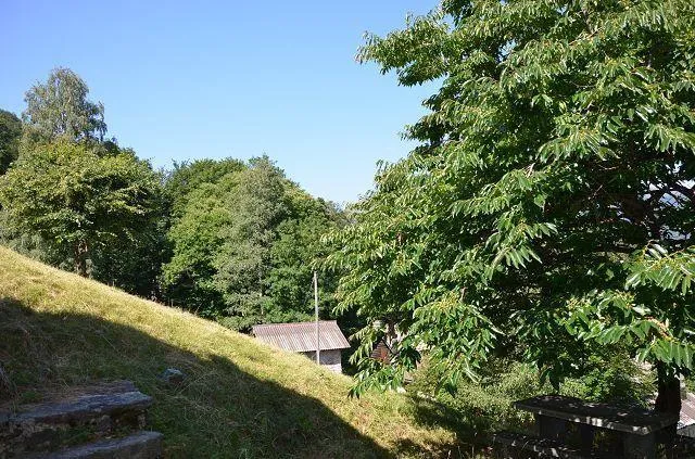 Image 20
