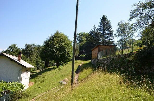Image 19