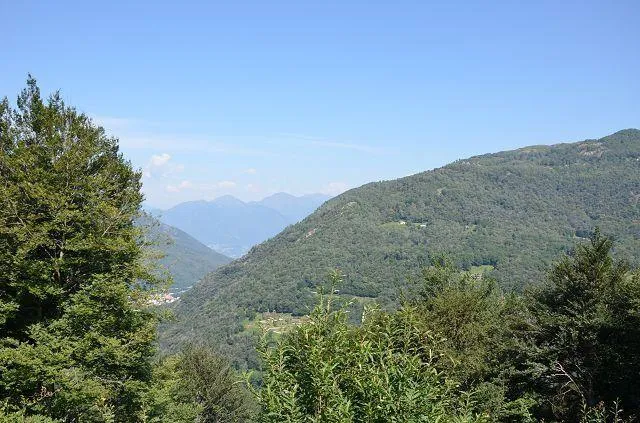 Image 26