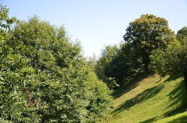Image 30