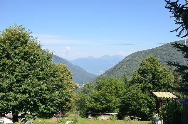 Image 25