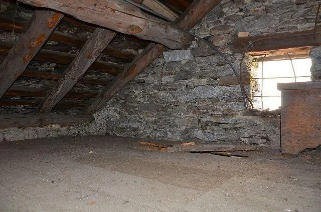 Image 14
