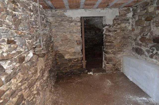 Image 16