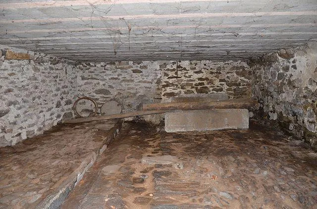 Image 21