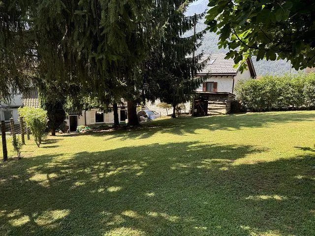 Image 31