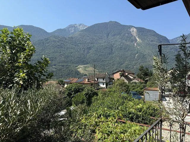 Image 35