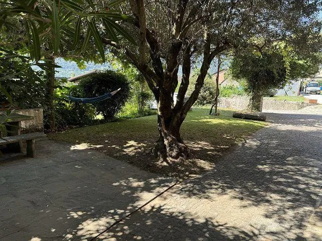 Image 30