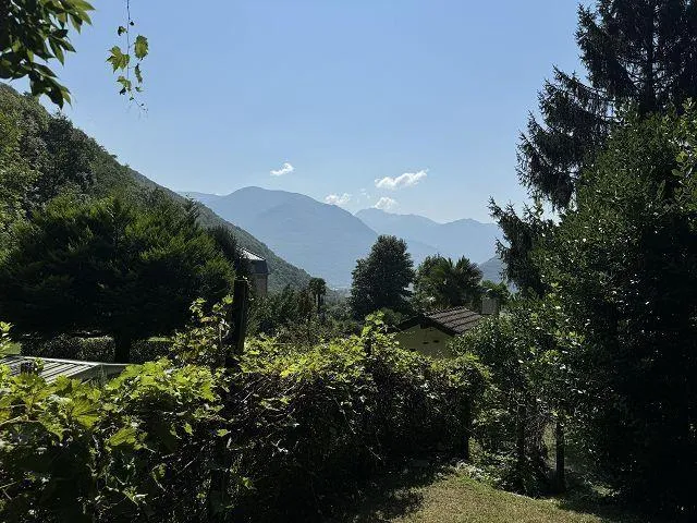 Image 37