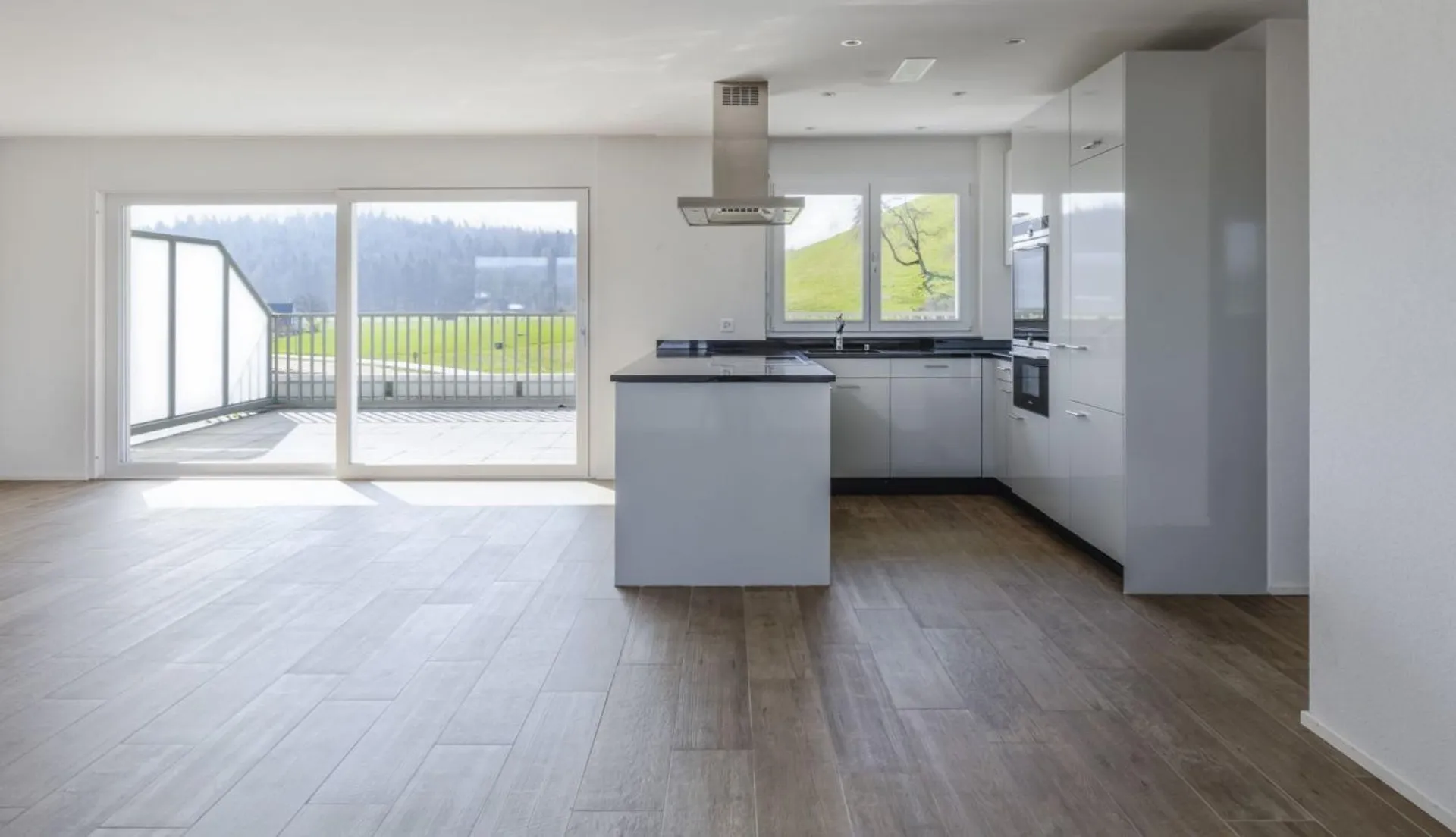 Attikawohnung mit 90 m2 Terrasse und Schlossblick