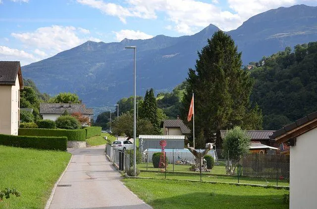 Image 15