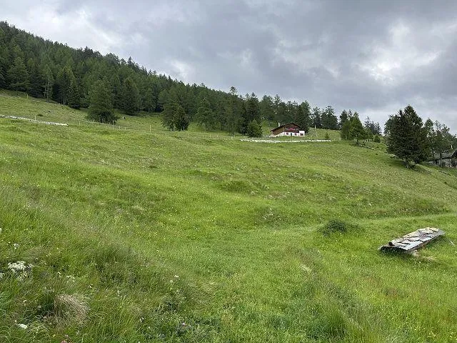 Image 21
