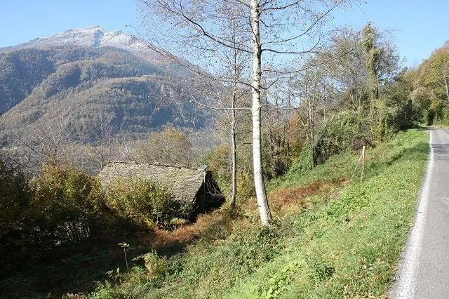 Immagine 12