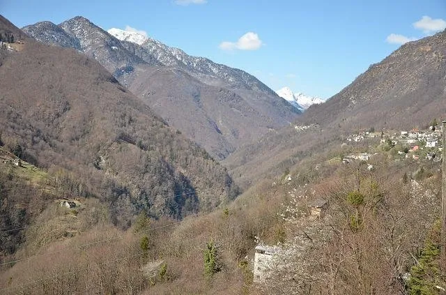 Image 35