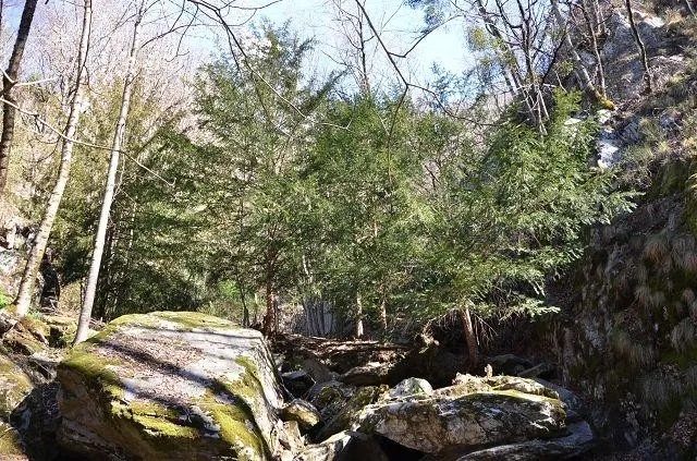 Image 38