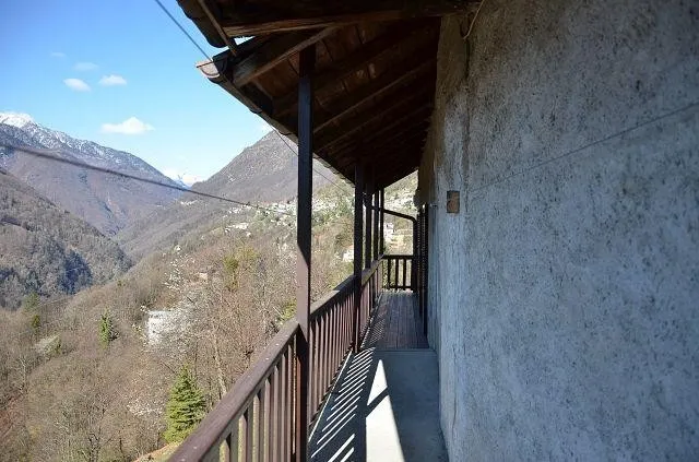 Image 10