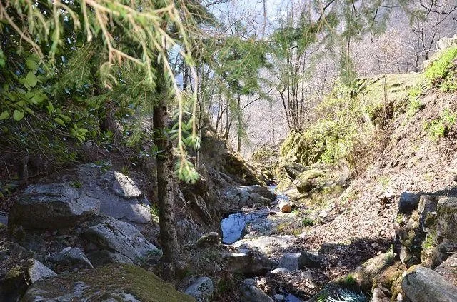 Image 37