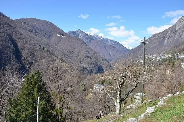 Image 36