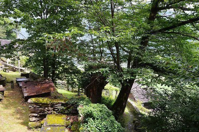 Image 17