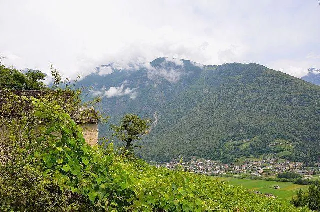Image 18