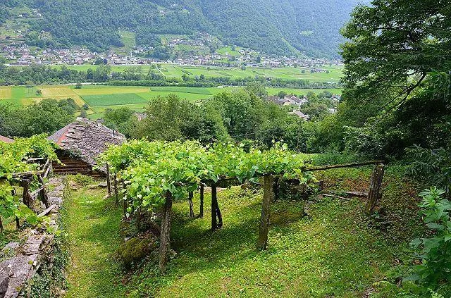 Image 19