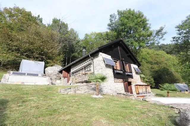 Immagine 28